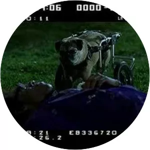 Floyd the Dog - Fictional character