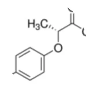 Fluazifop-p-butyl (Fluazifop-p-butil)