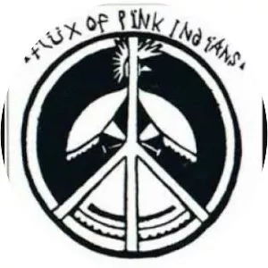 Flux of Pink Indians