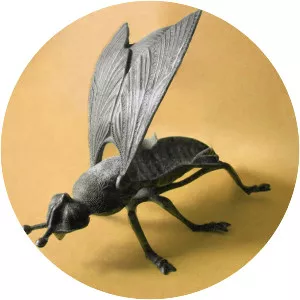 Fly Ashtray