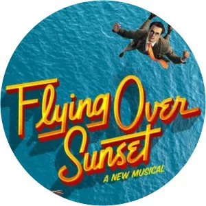 Flying Over SunsetJames Lapine