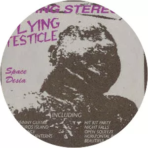 Flying Testicle - Musical band