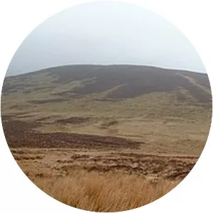 Foel y Geifr - Summit in Wales