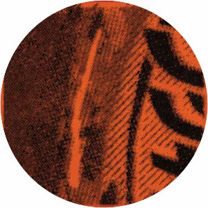 Fog FM - Album by Anthony Naples