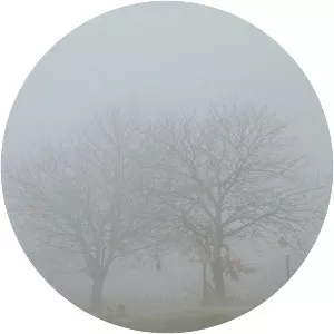 Fog
