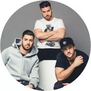 Follow The Flow - Musical group