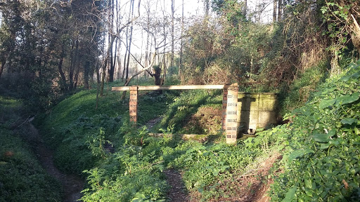 Fonte e Lavadoiro de Rimoxe - Park in Spain