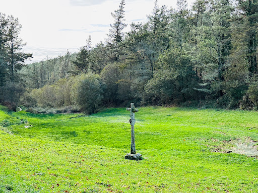 Fonte Santa das Neves de Buxantes