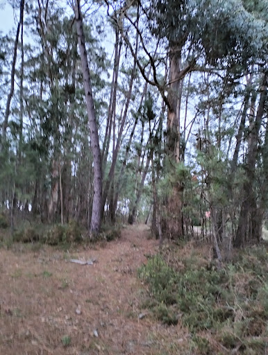 Fonte Xesteiros - Hiking area in Spain