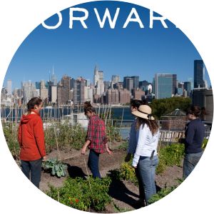 Food Forward Television show
