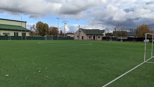 football pitch - Soccer field in Berlin, Germany