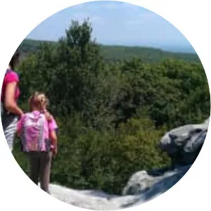 Forbes State Forest - 