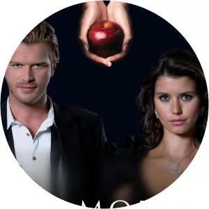 Forbidden Love2008 – 2010