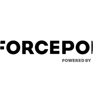 Forcepoint - Software company