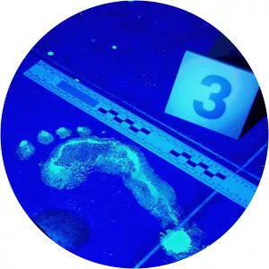 Forensic Files II photograph