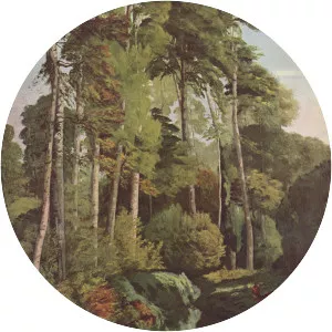 Forest Brook with Deer