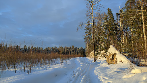 Forest Park Krasnogorsky - Ecological park in Russia