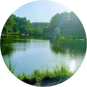 Forest Park Mitinsky Moscow