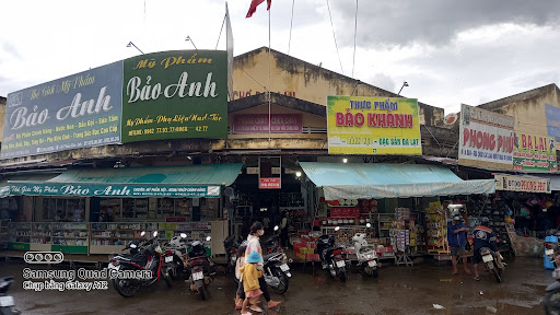 Forest protection market