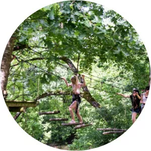 forest squirrels airparc périgord