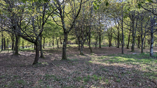 forestal Chan das Pipas Park