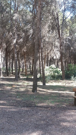 forestal de Valdilecha Park - Nature preserve in Spain