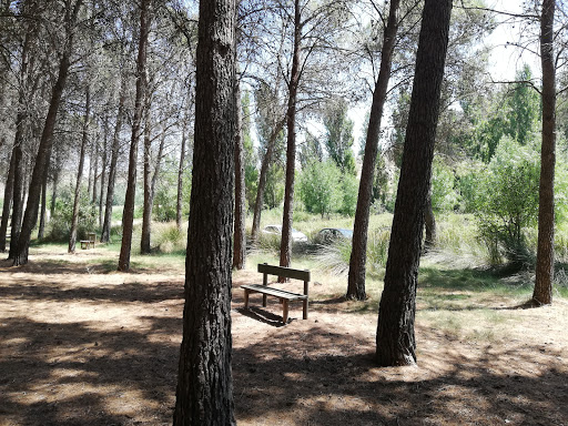 Forestal Dehesa de Santorcaz Park