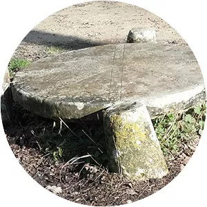 Forêt Domaniale de Beynes - 