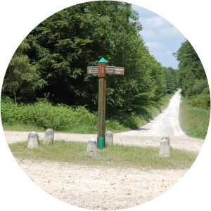 foret domaniale de thelle - 