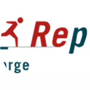 FO RGE REP LY S. R. L. - Video game developer