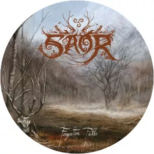 Forgotten Paths - Album by Saor