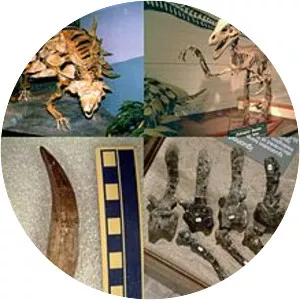 Formation de Cedar Mountain - Geological formation in Utah