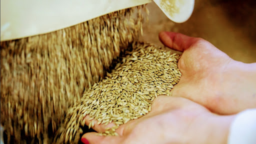 Formula Spirta-Spirtetil - Hospital equipment and supplies in Moscow, Russia