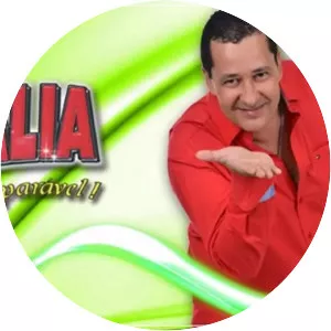 Forrozão Tropykalia - Musical artist