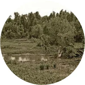 Fort De La Boulaye Site - 