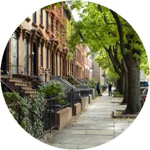 Fort Greene - Neighborhood in New York City, New York