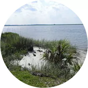 Fort McAllister