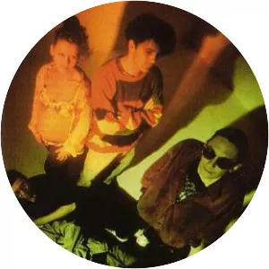 Fortran 5 - Musical band