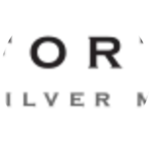 Fortuna Silver Mines - Company