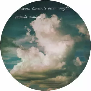 Forty Seven Times Its Own Weight - Musical artist