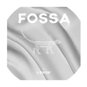 Fossa Beats - Musical artist