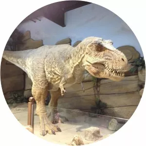 Fossil World Discovery Center