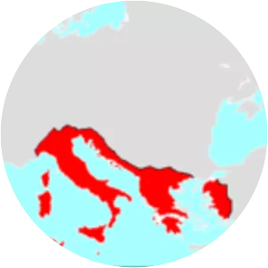 Fourth Macedonian War - 