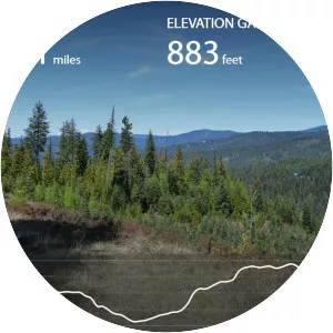 Fourth of July Summit