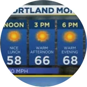 Fox Sunday Night - Animated series