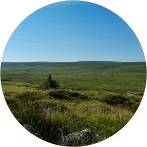 Fox Tor - Tor in England
