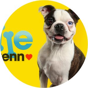 Fra bølle til bestevenn - TV series