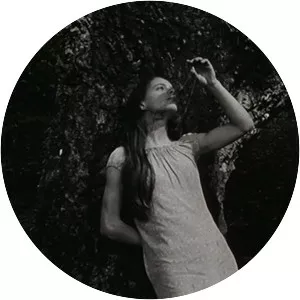 Frágil Como o Mundo