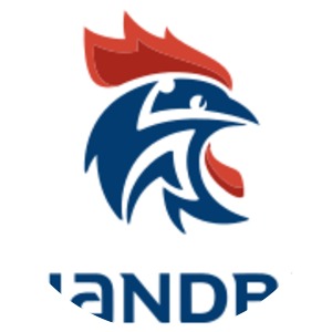 France men's national handball team - 