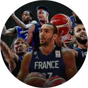 France national basketball team